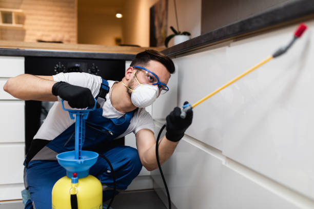 Best Pest Prevention Services  in Badger, AK