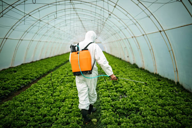 Best Pest Control for Restaurants  in Badger, AK