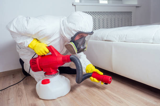 Best Rat Extermination Near Me  in Badger, AK