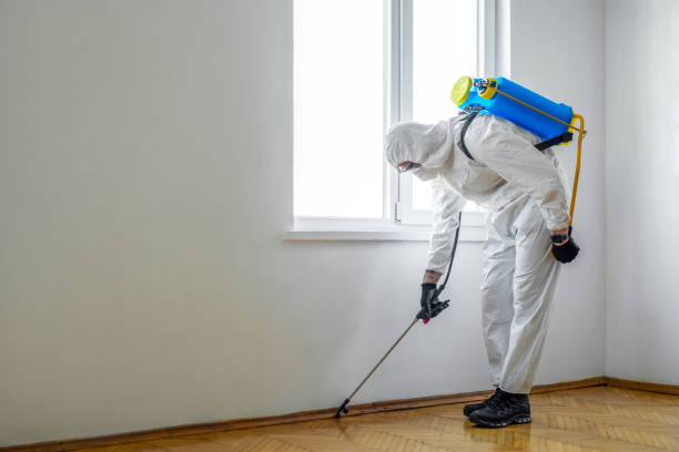 Best Cockroach Control Services  in Badger, AK