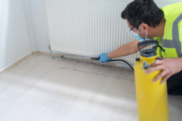 Best Pest Control Cost  in Badger, AK