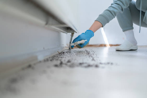 Pest Prevention Services in Badger, AK