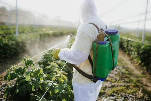 Best Pest Control Near Me  in Badger, AK